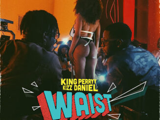 King Perryy – Waist