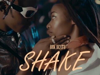 Brk Beatz – SHAKE