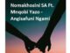 Nomakhosini – Angisafuni Ngami