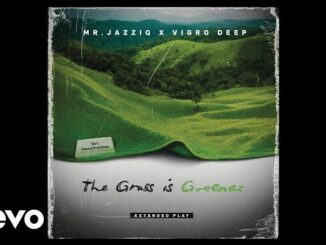 Mr JazziQ x Vigro Deep - Fede