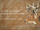 Morgan Wallen – Don't We